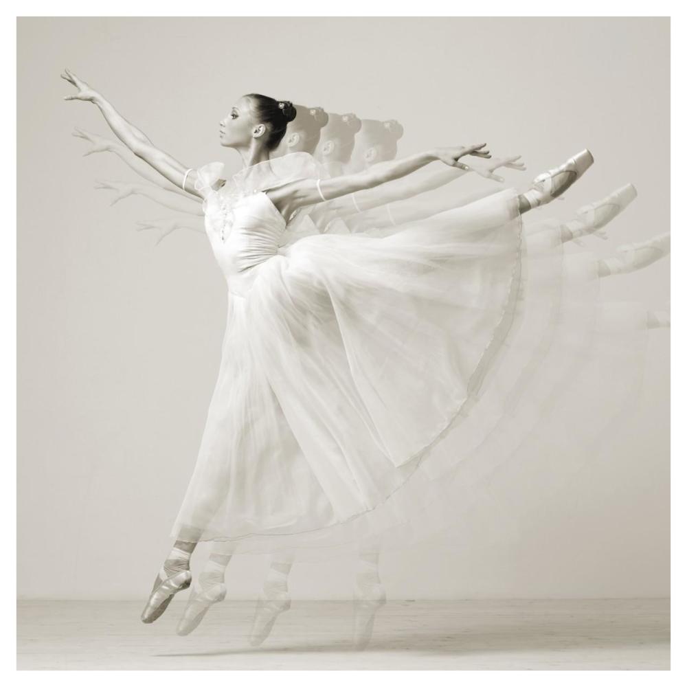 Leaping Beauty (detail)-Paper Art-42"x42"