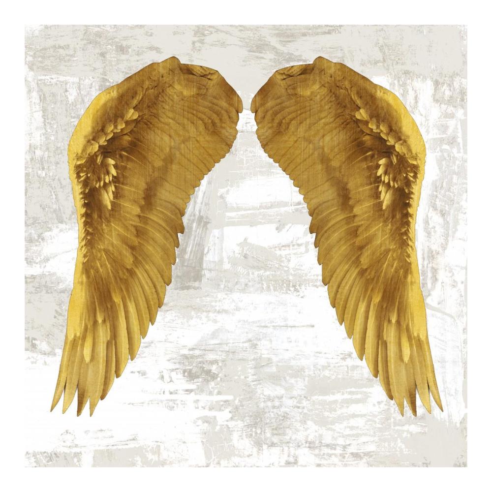 Angel Wings IV-Paper Art-20"x20"