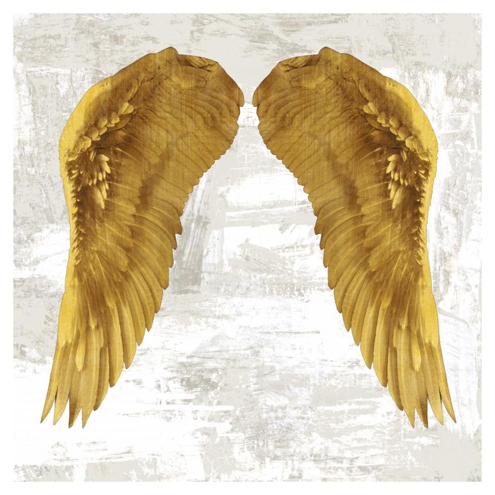 Angel Wings IV-Paper Art-38"x38"
