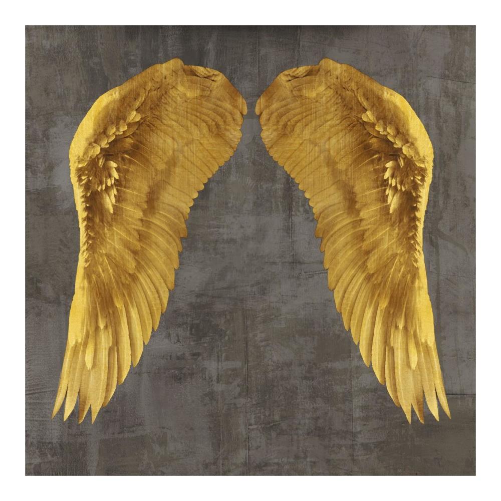 Angel Wings I-Paper Art-20"x20"