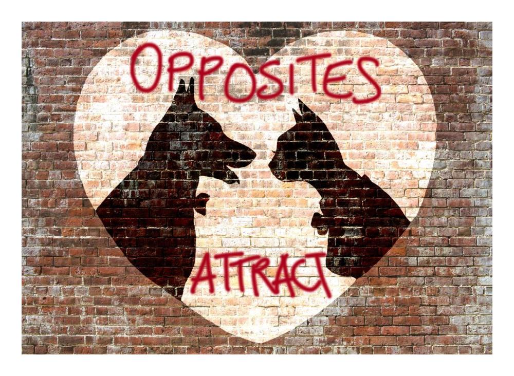 Opposites attract-Paper Art-24"x18"