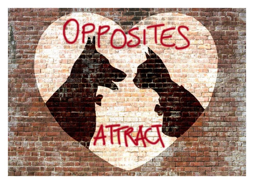 Opposites attract-Paper Art-32"x23"