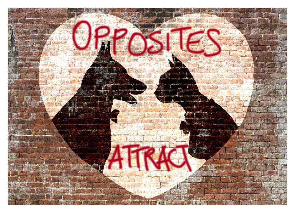 Opposites attract-Paper Art-38"x28"
