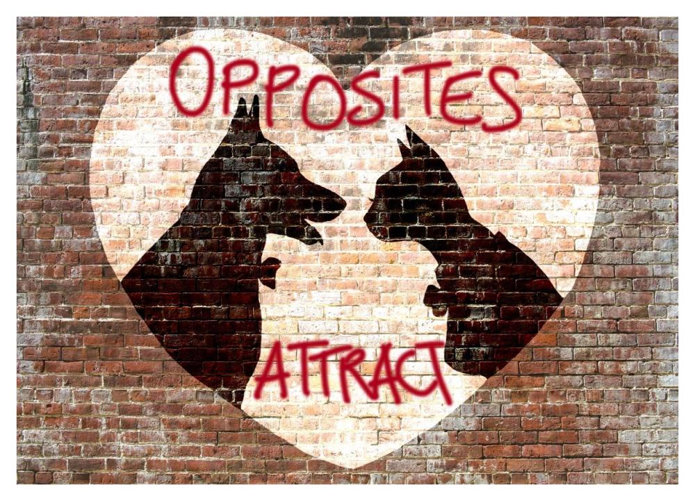 Opposites attract-Paper Art-42"x30"
