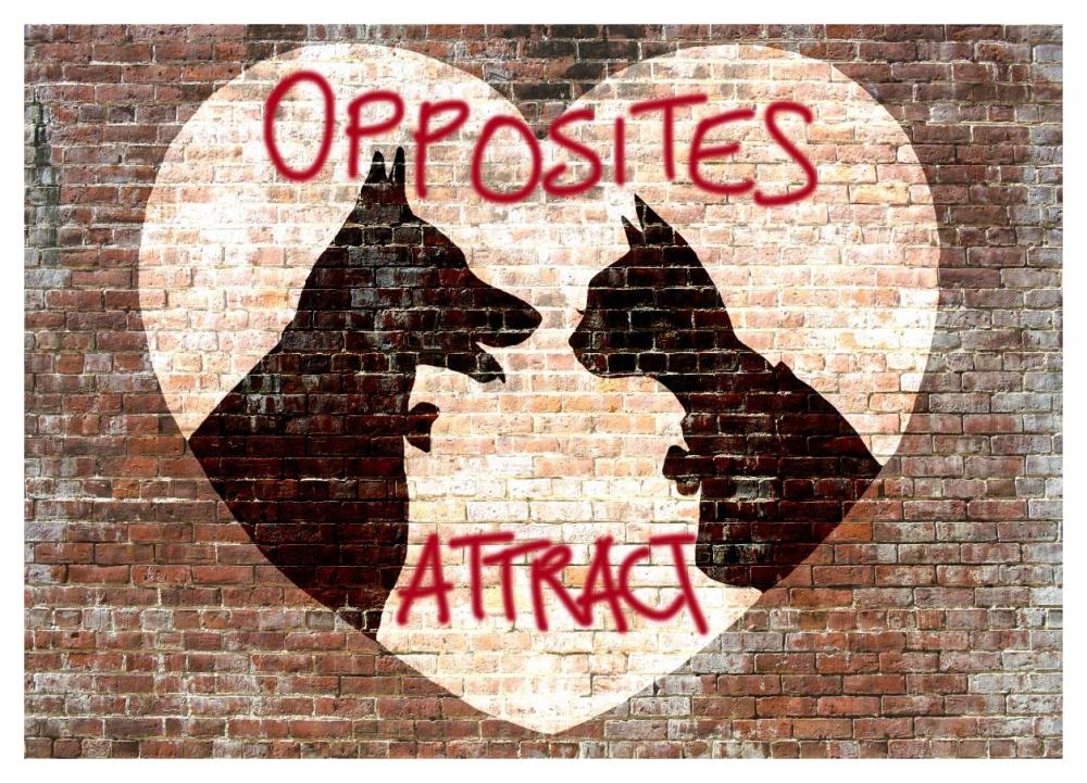 Opposites attract-Paper Art-46"x33"