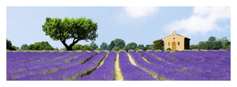 Lavender Fields, France-Paper Art-38"x14"