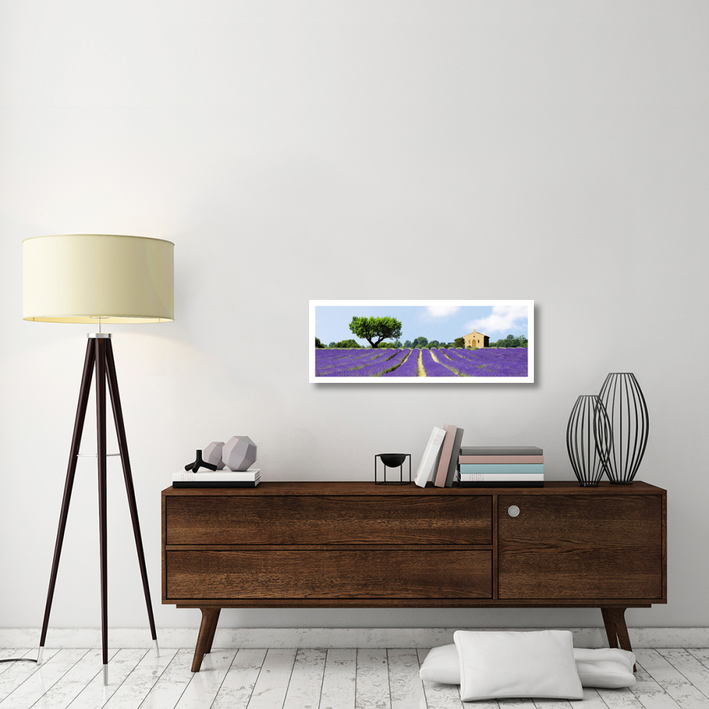Lavender Fields, France-Paper Art-38&quotx14"