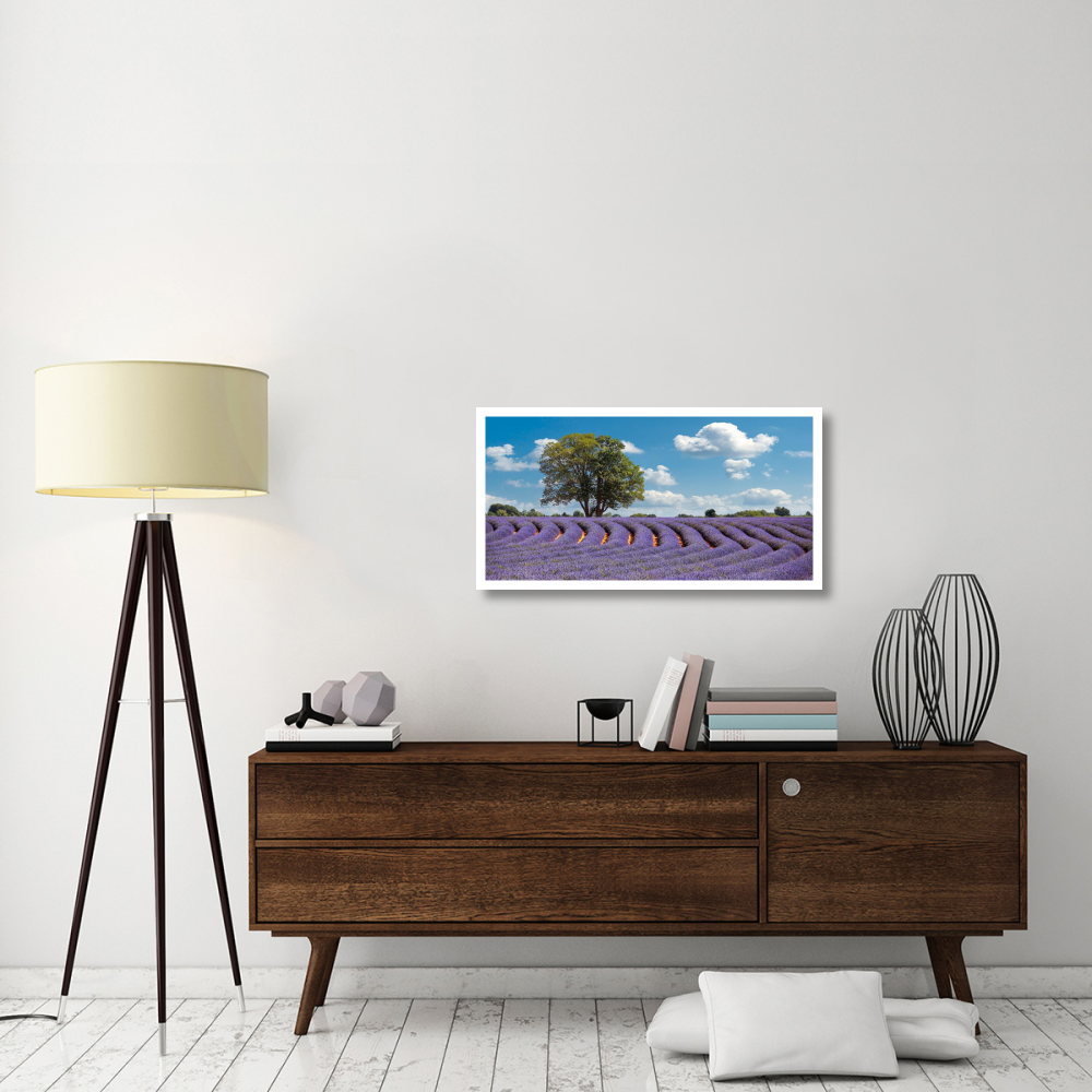 Lavender Field in Provence, France-Paper Art-38&quotx20"