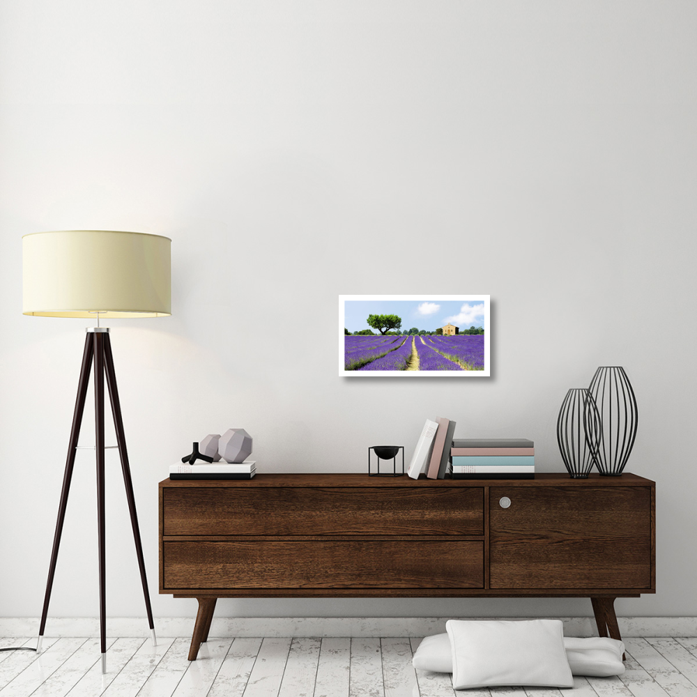 Lavender Fields, France-Paper Art-26&quotx14"
