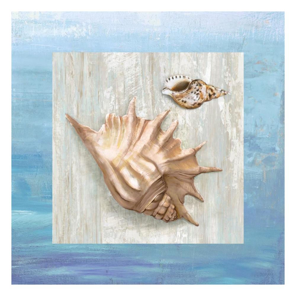 From the Sea III-Paper Art-26"x26"