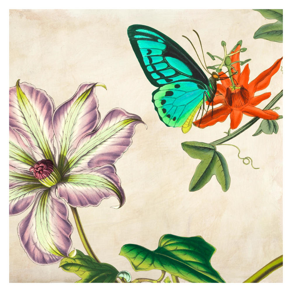 Panneau Botanique VI-Paper Art-32"x32"