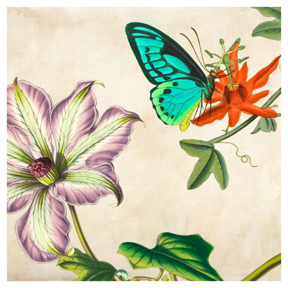 Panneau Botanique VI-Paper Art-42"x42"
