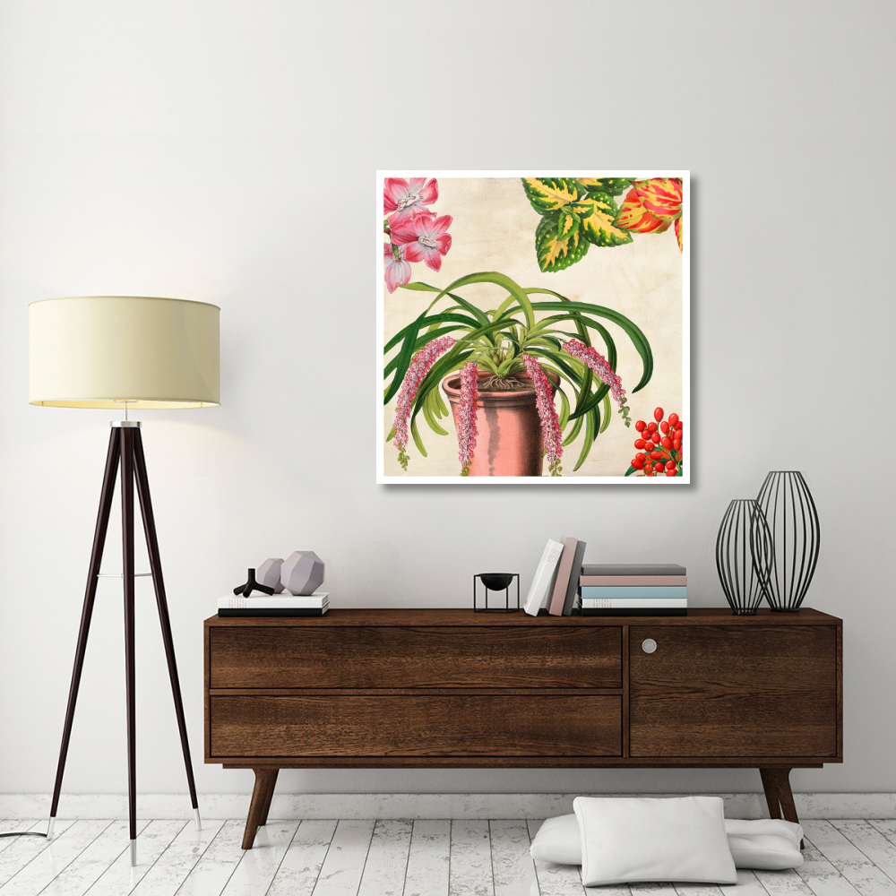 Panneau Botanique VII-Paper Art-42&quotx42"