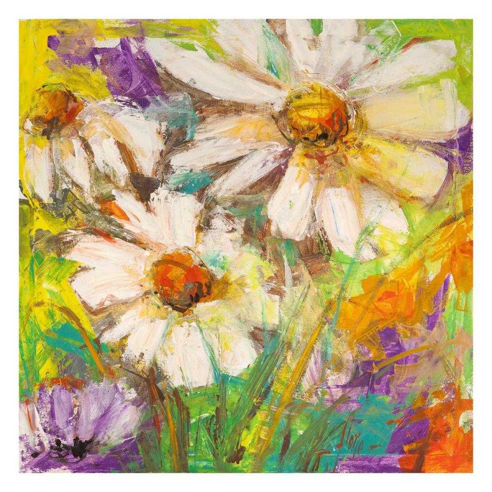 Margherite in fiore-Paper Art-26"x26"