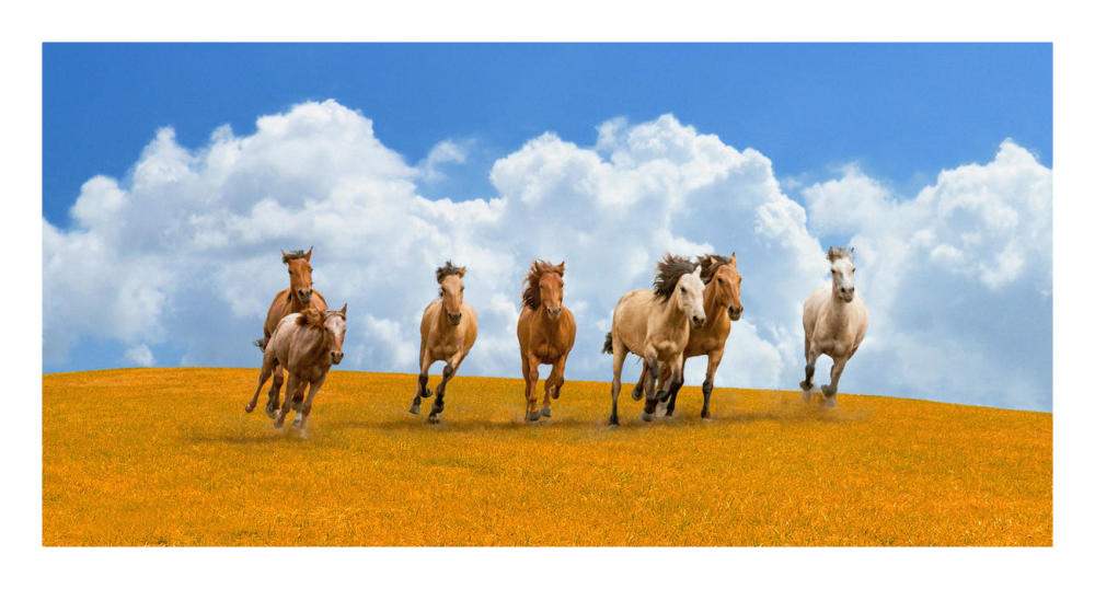 Herd of wild horses-Paper Art-26"x14"