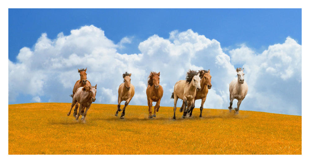 Herd of wild horses-Paper Art-38"x20"