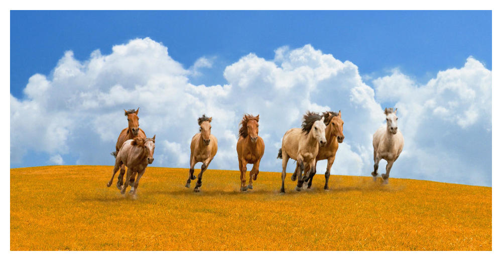 Herd of wild horses-Paper Art-50"x26"