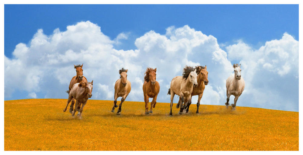 Herd of wild horses-Paper Art-74"x38"