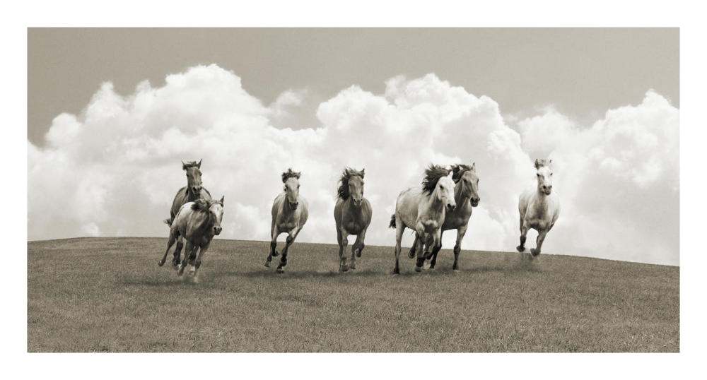Herd of wild horses (BW)-Paper Art-26"x14"