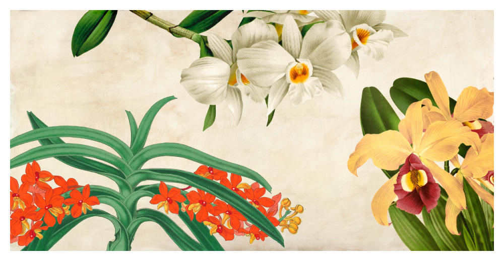 Panneau Botanique III-Paper Art-50"x26"