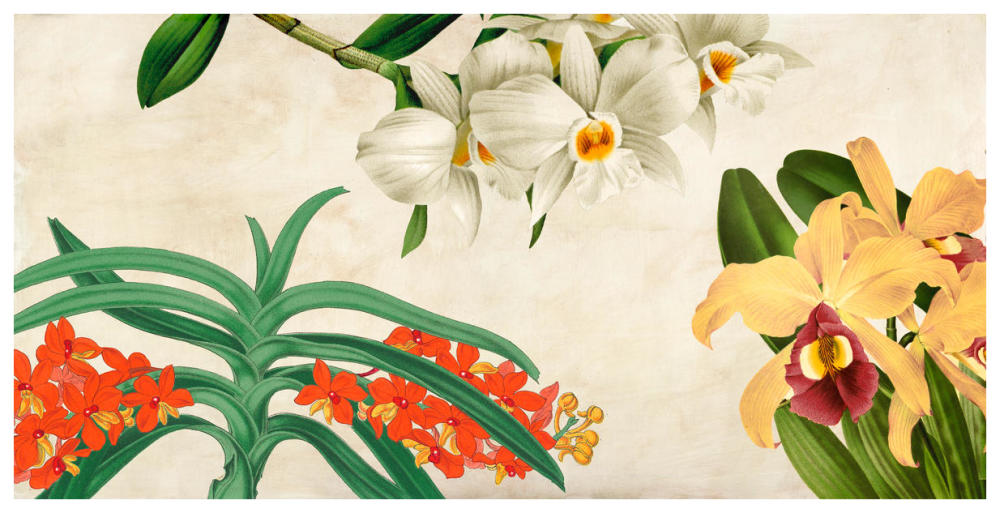 Panneau Botanique III-Paper Art-74"x38"