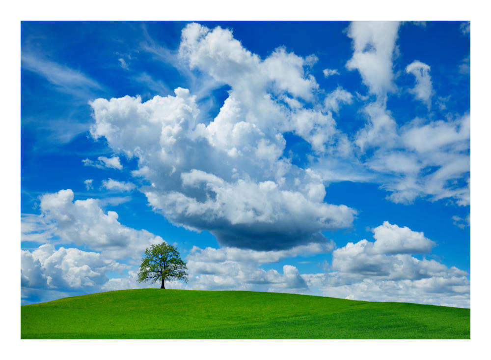 Oak and clouds, Bavaria, Germany-Paper Art-24"x18"