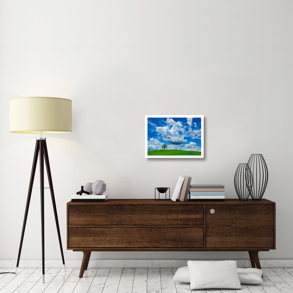 Oak and clouds, Bavaria, Germany-Paper Art-24&quotx18"