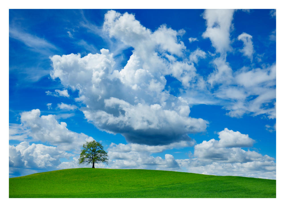 Oak and clouds, Bavaria, Germany-Paper Art-32"x23"