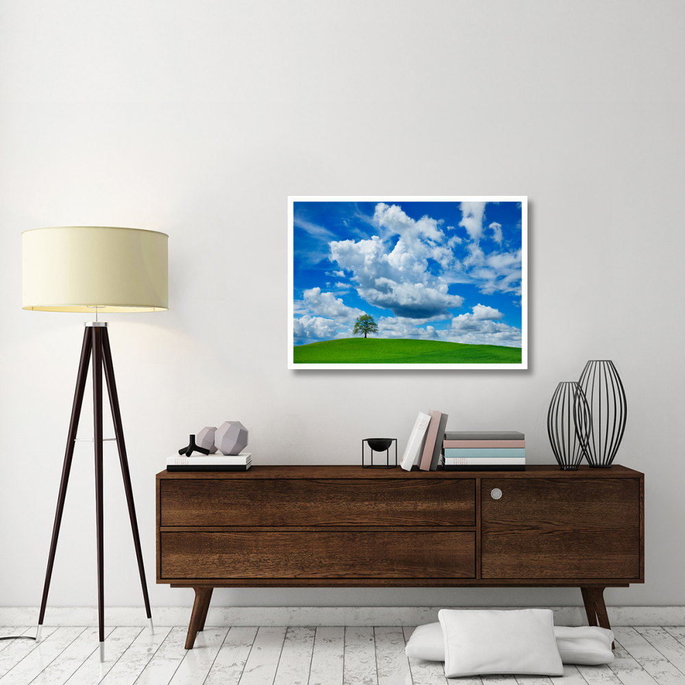 Oak and clouds, Bavaria, Germany-Paper Art-42&quotx30"