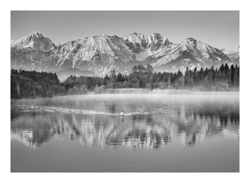 Allgaeu Alps and Hopfensee lake, Bavaria, Germany (BW)-Paper Art-24"x18"