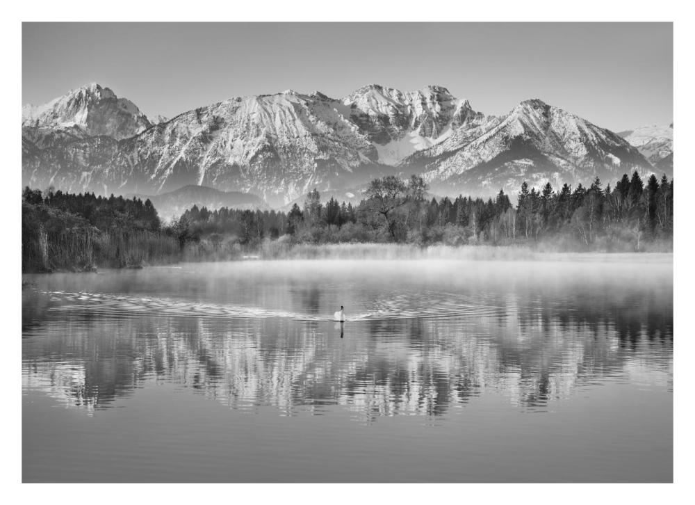 Allgaeu Alps and Hopfensee lake, Bavaria, Germany (BW)-Paper Art-32"x23"