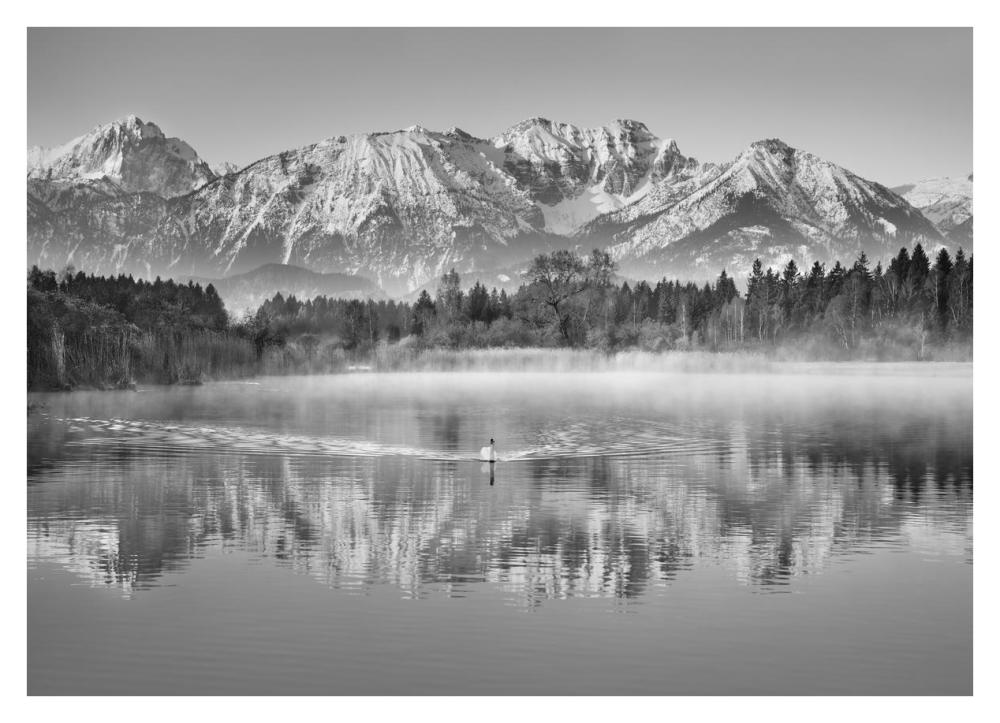 Allgaeu Alps and Hopfensee lake, Bavaria, Germany (BW)-Paper Art-38"x28"