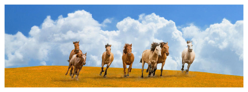 Herd of wild horses (detail)-Paper Art-56"x20"