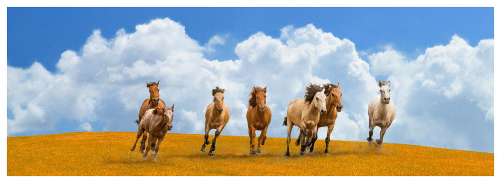 Herd of wild horses (detail)-Paper Art-74"x26"