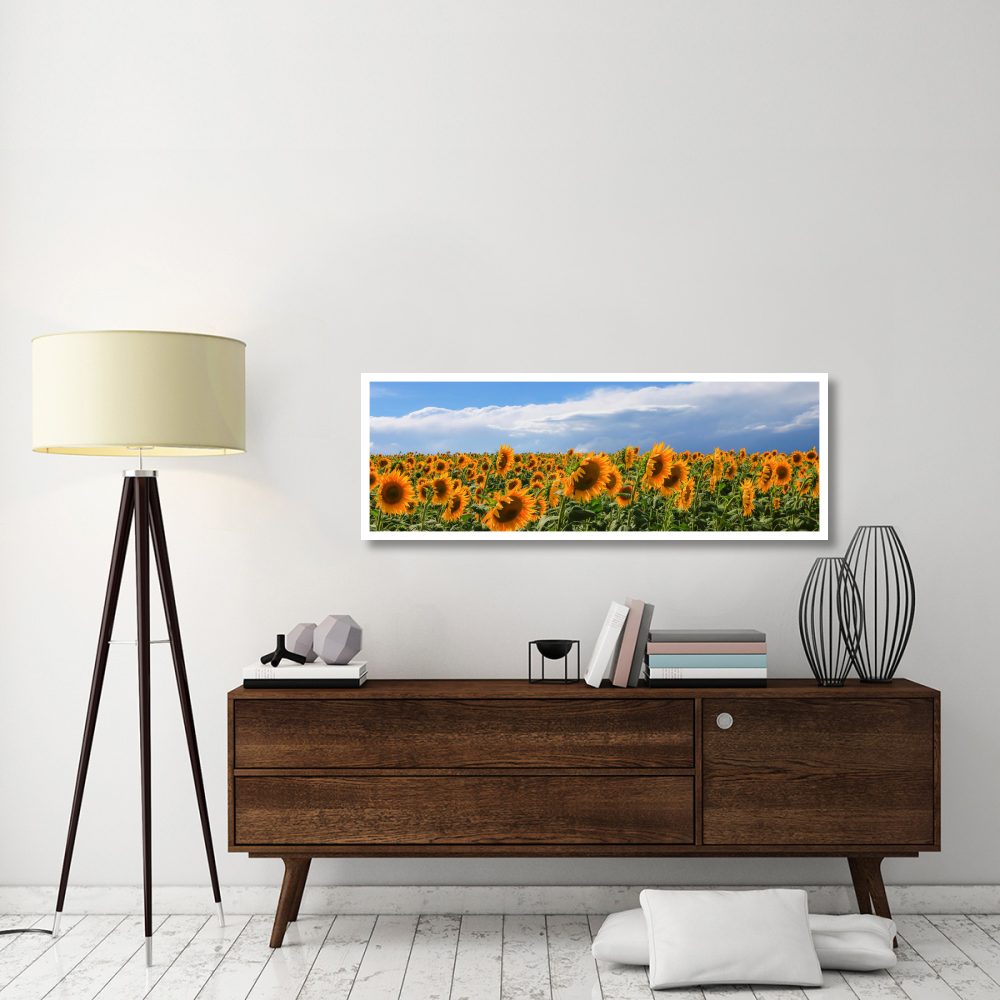 Girasoli in Val D'Orcia-Paper Art-56&quotx20"