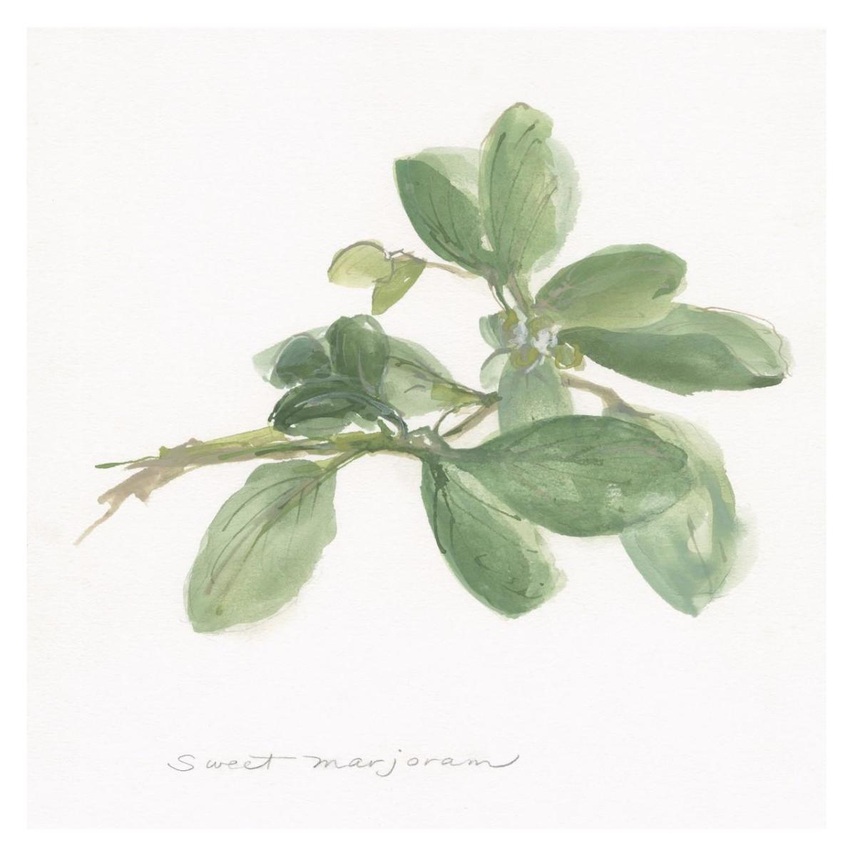 Sweet Marjoram -Paper Art-32""X32""