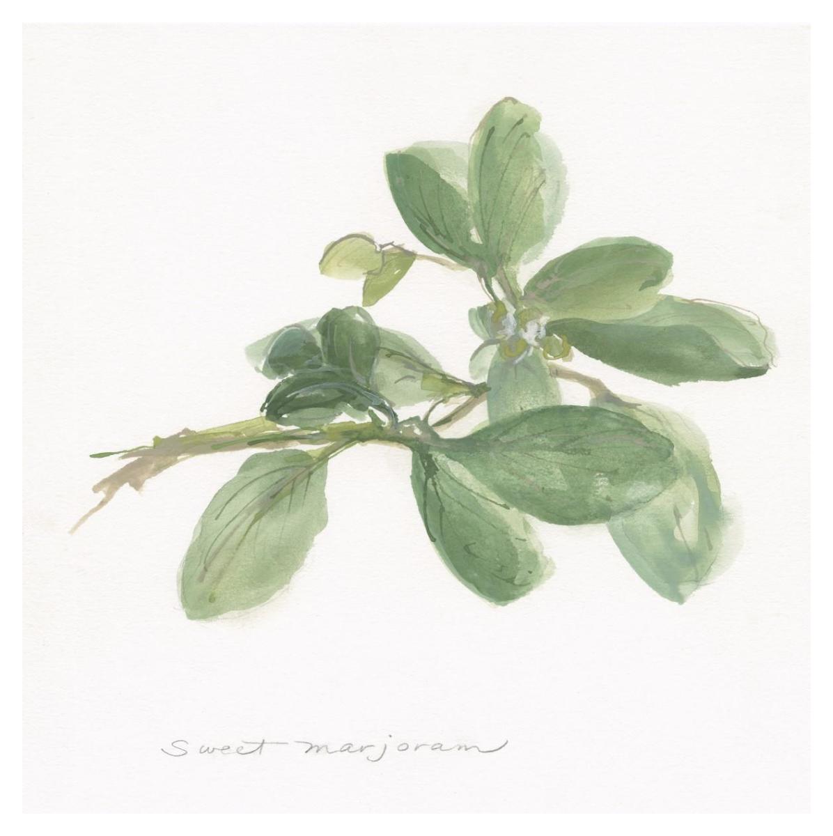 Sweet Marjoram -Paper Art-38""X38""