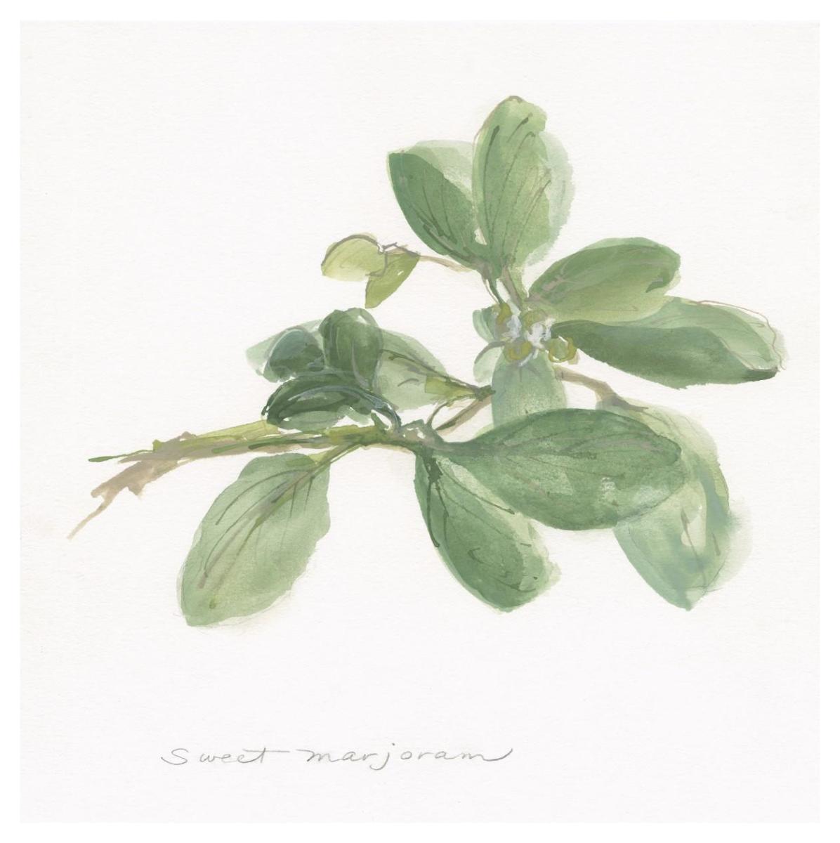 Sweet Marjoram -Paper Art-42""X42""