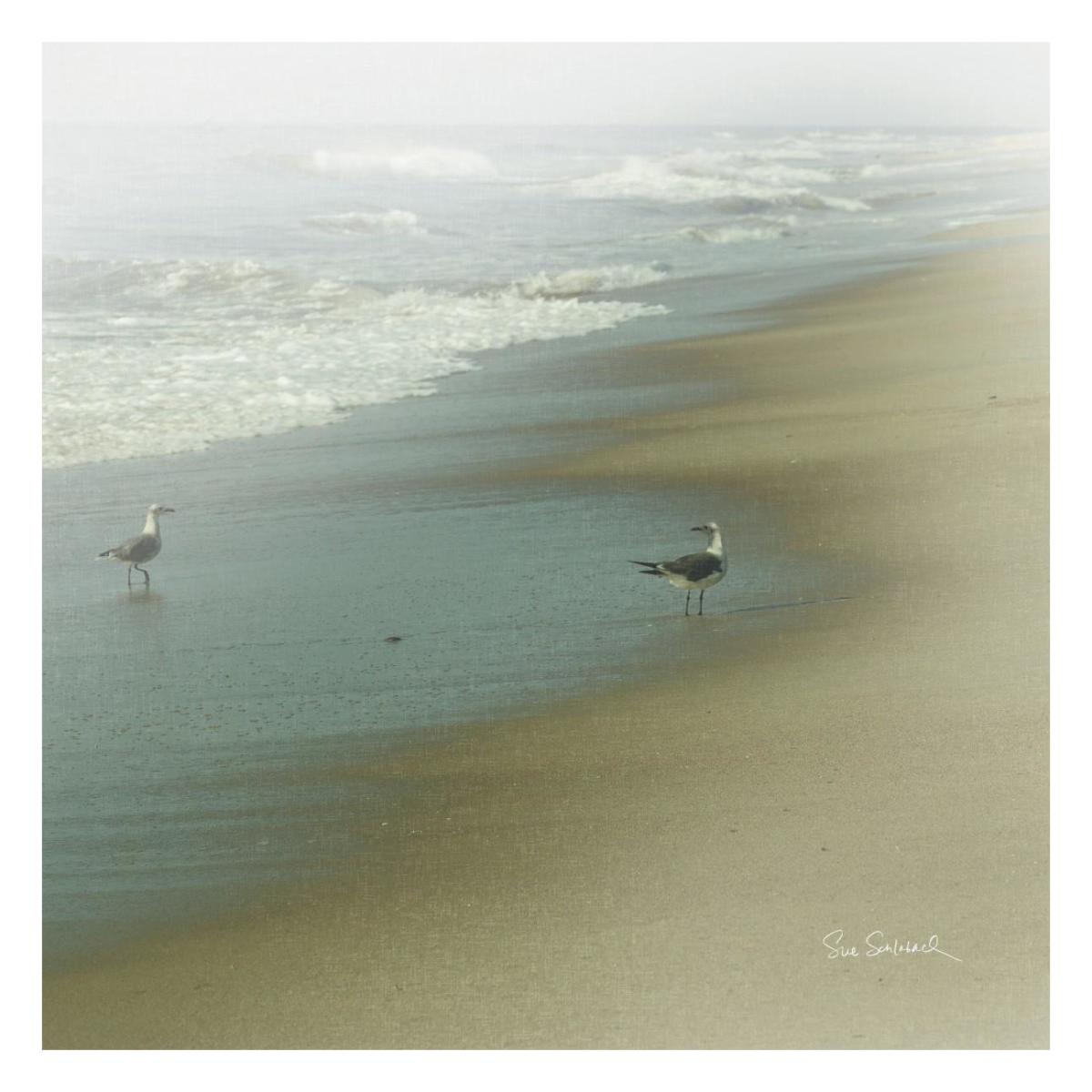Seabirds -Paper Art-26"x26"