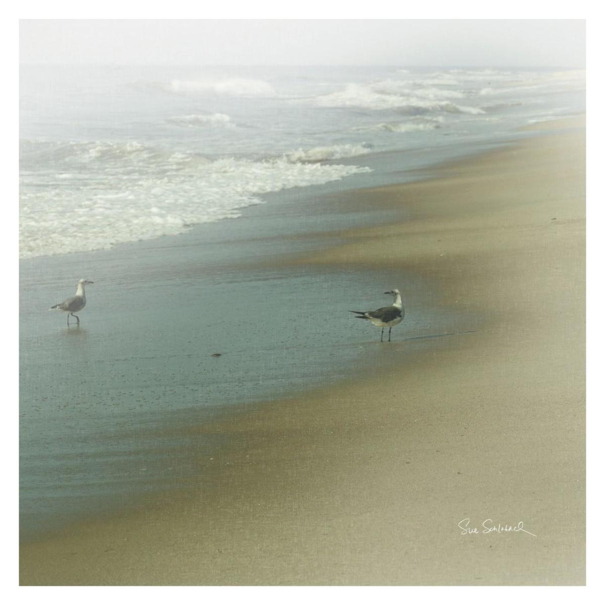 Seabirds -Paper Art-32"x32"