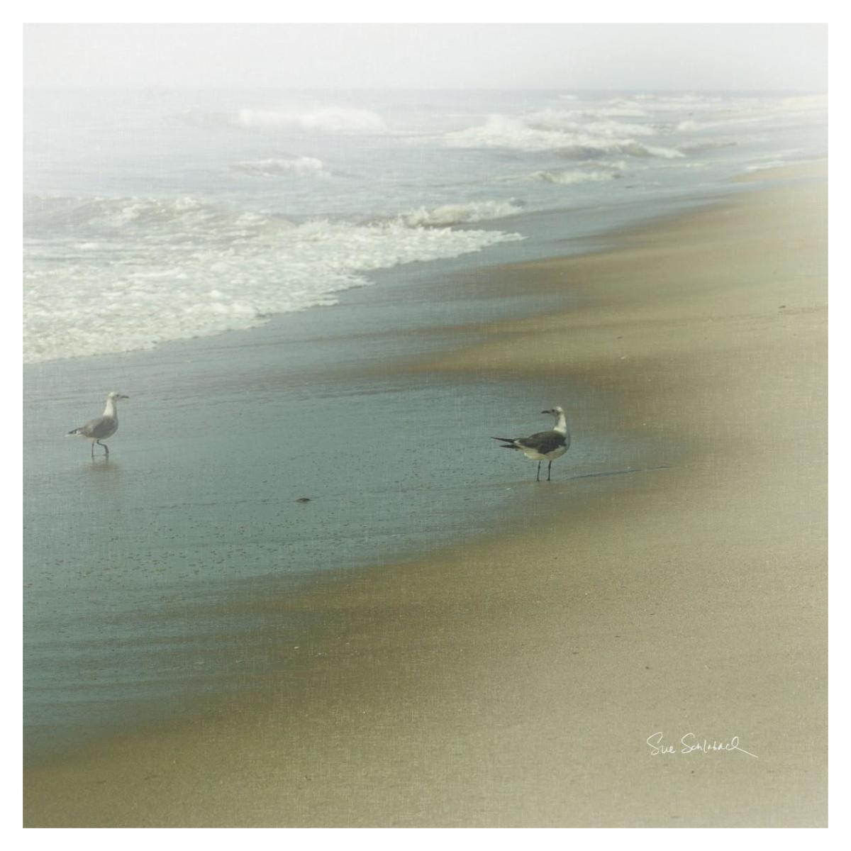 Seabirds -Paper Art-38"x38"