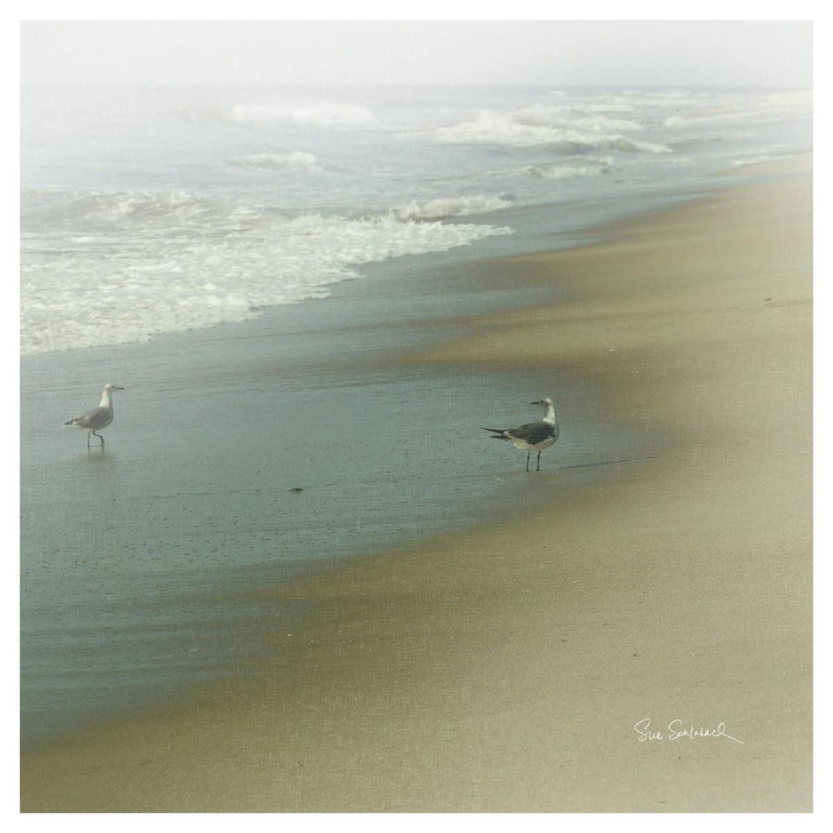 Seabirds -Paper Art-42"x42"