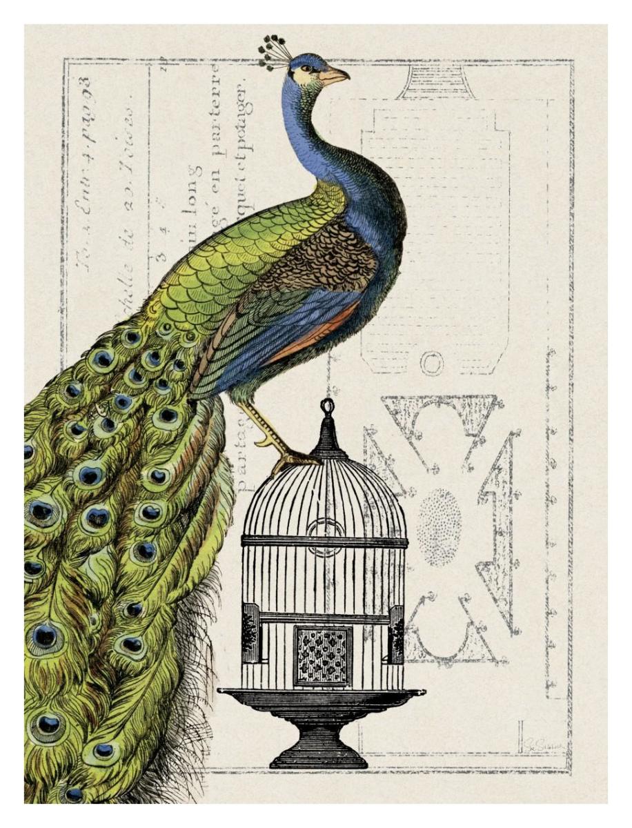 Peacock Birdcage I -Paper Art-14"x18"
