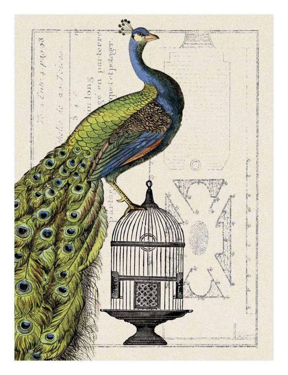 Peacock Birdcage I -Paper Art-20"x26"