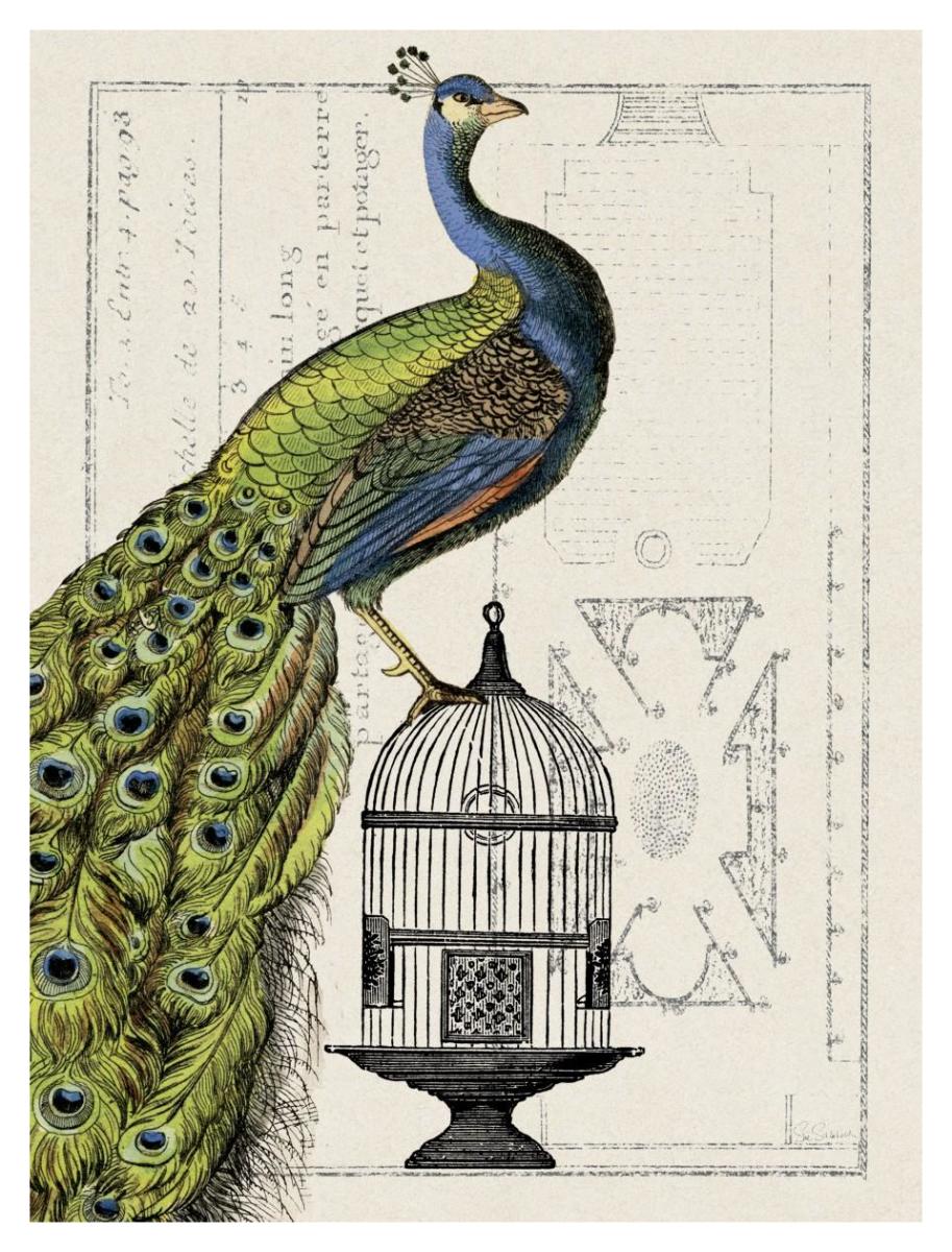 Peacock Birdcage I -Paper Art-32"x42"