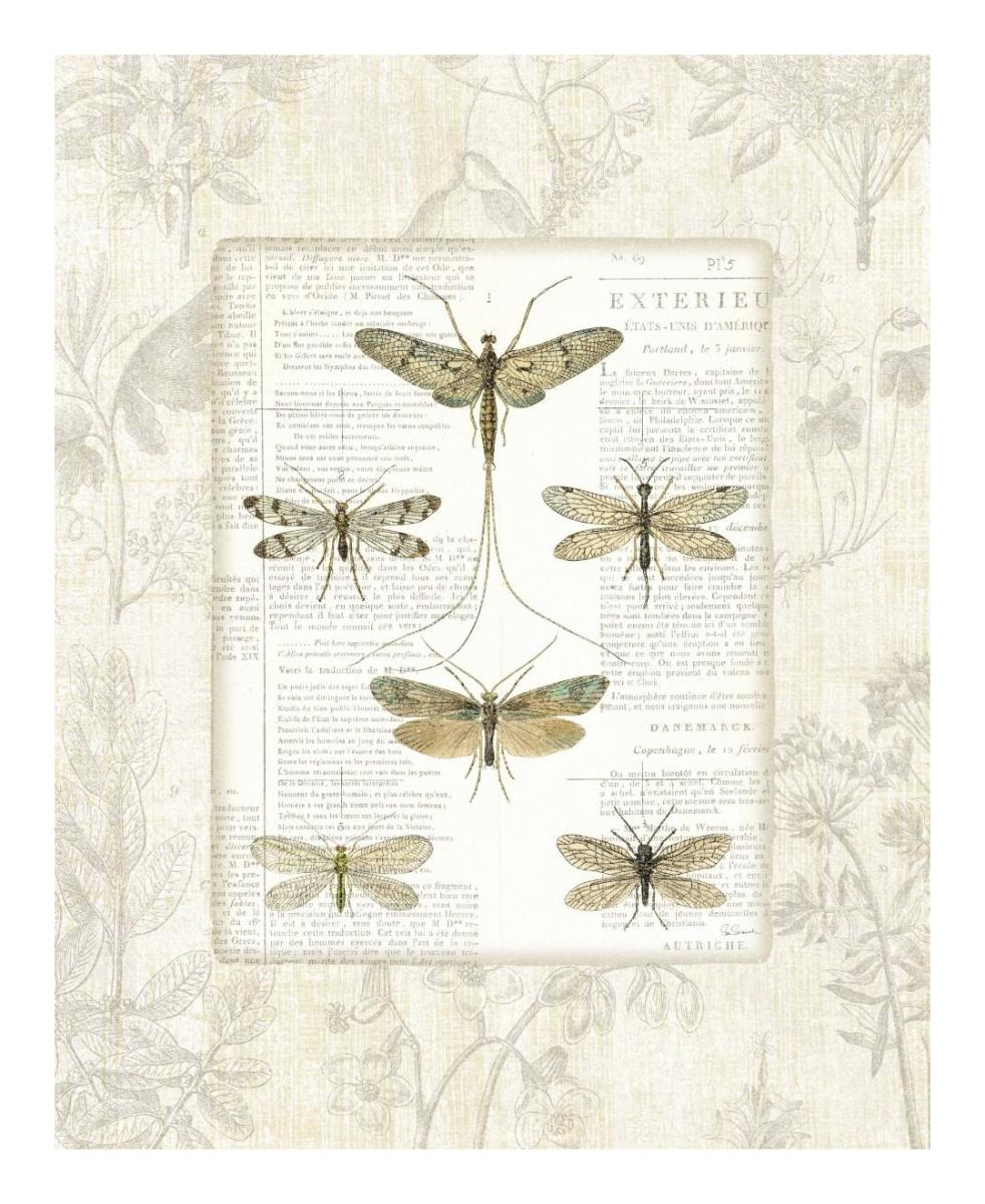 Dragonfly Botanical -Paper Art-18"x22"