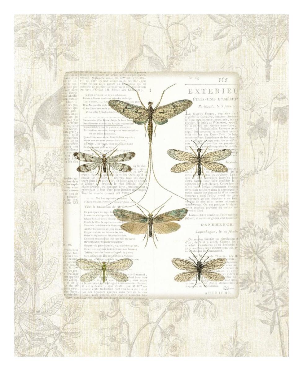 Dragonfly Botanical -Paper Art-22"x26"