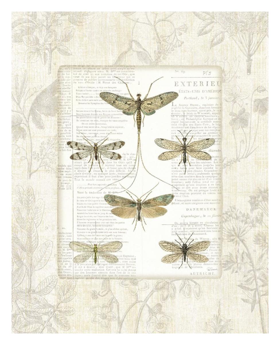 Dragonfly Botanical -Paper Art-24"x30"