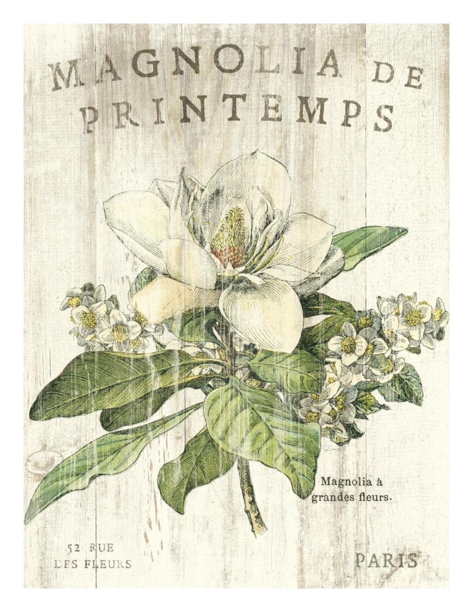 Magnolia de Printemps -Paper Art-20"x26"