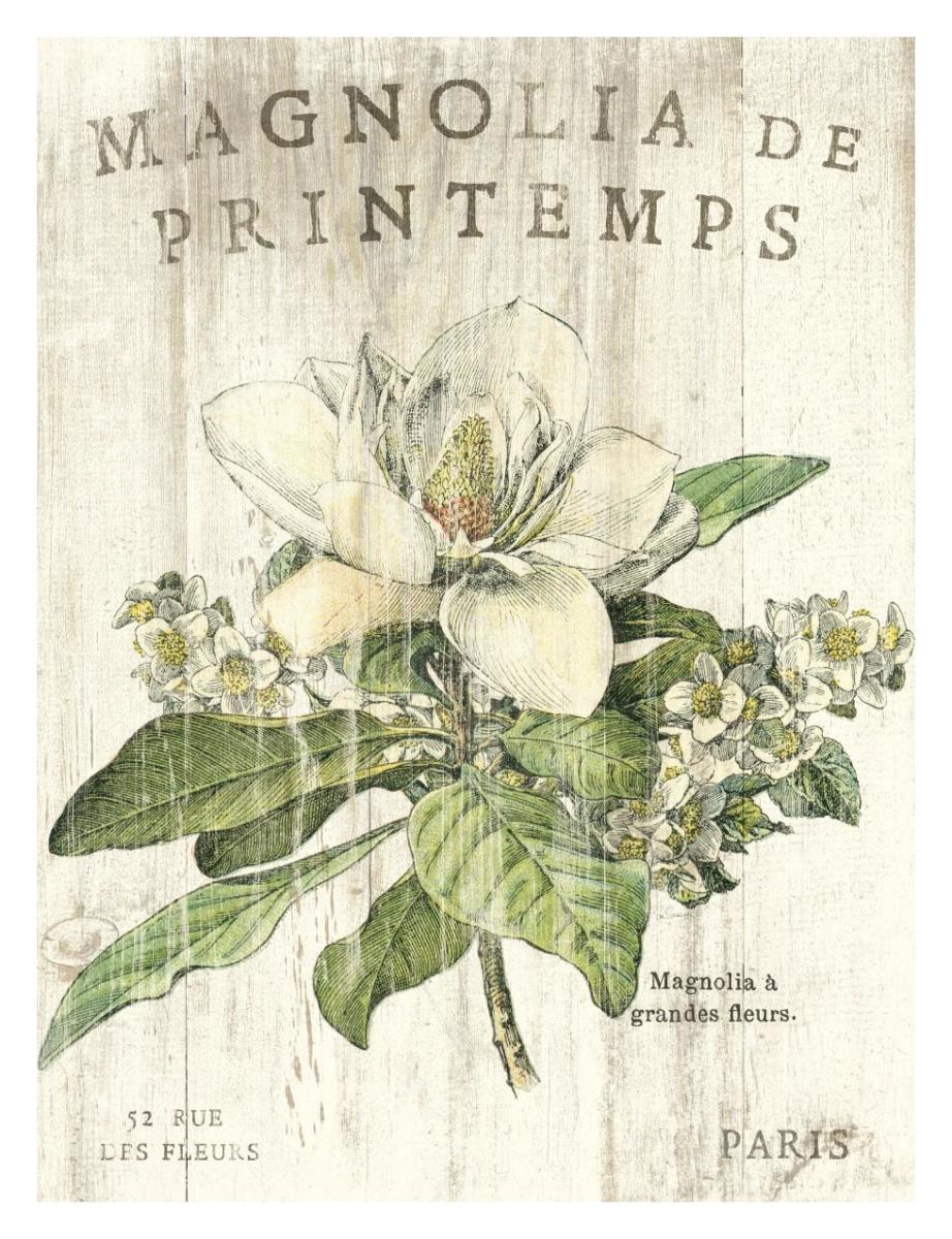 Magnolia de Printemps -Paper Art-26"x34"